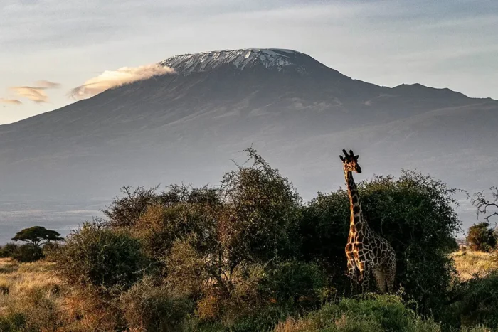 How Hard Is It To Hike Kilimanjaro